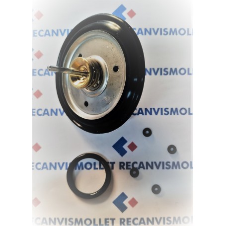 KIT REVISION GIANNONI GOMA NEGRA