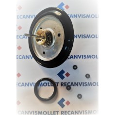 KIT REVISION GIANNONI GOMA NEGRA