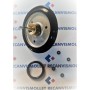 KIT REVISION GIANNONI GOMA NEGRA