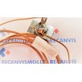 TERMOPAR UNIVERSAL CON DERIVACIONES Y MICROS BIASI BI1003503 / MANAUT 5760054