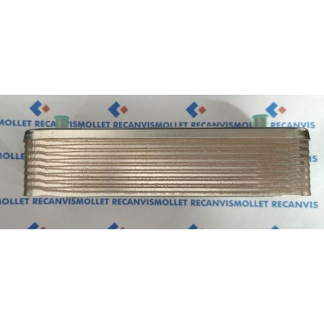 INTERCAMBIADOR BIASI 16 PLACAS