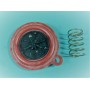 MEMBRANA VAILLANT COMPLETA + PLATO / MUELLE 115300